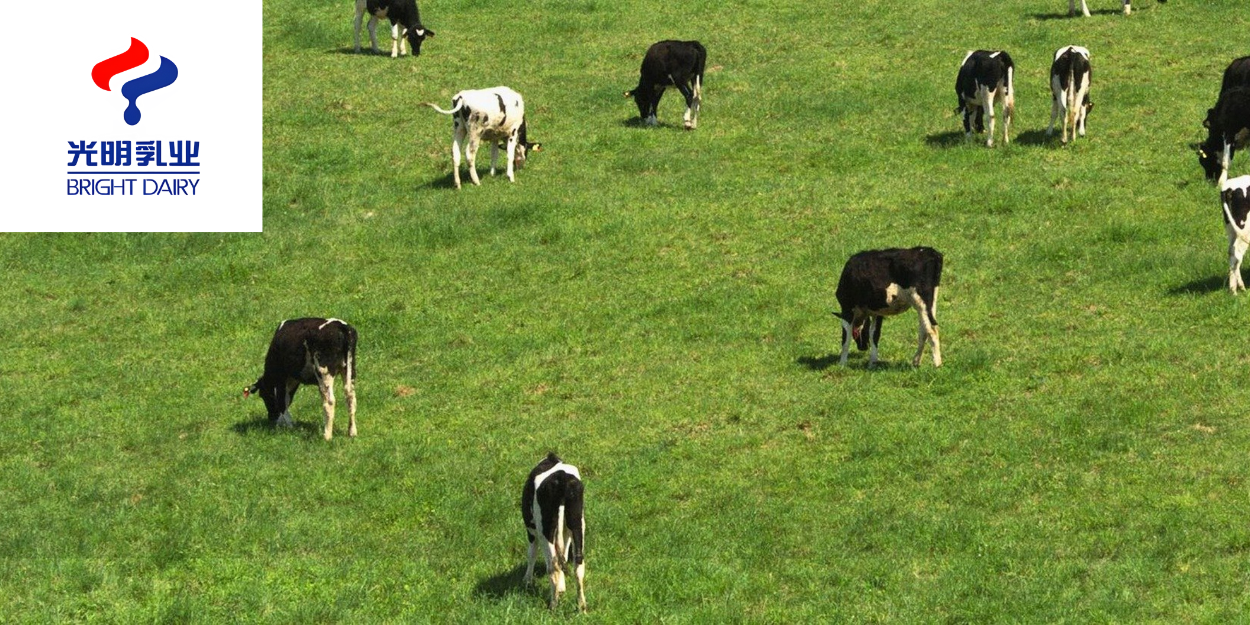 Case Study Featured Image (10)